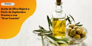 Finanzas – Aceite de Olivia_1_11zon