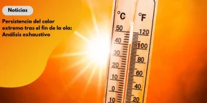 p1_11zon