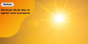 p1 (3)_11zon